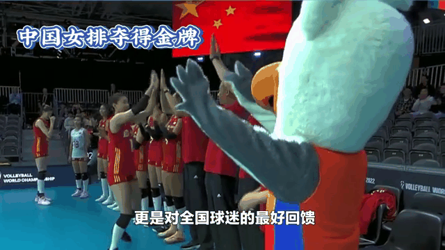 FB体育在线-女排力夺金牌！中国队夺得冠军